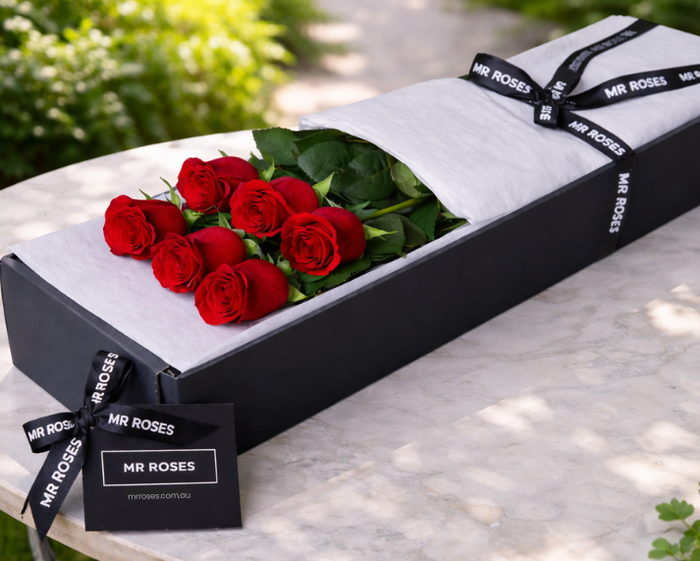 6 Red Roses