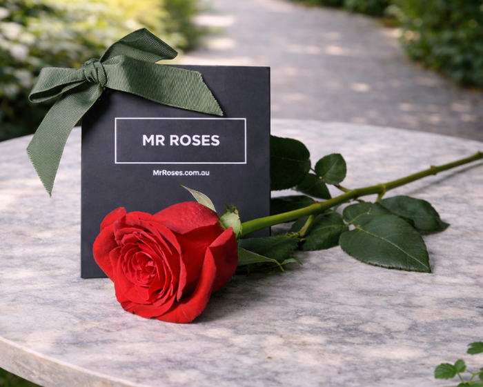 Valentine's Day Flowers Single Red Rose